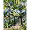 8FT Black Garden Arch with Gate ¨C Heavy-Duty Metal Arbor for Wedding Decor, Sturdy Steel Archway for Climbing Roses & Vines - 3 of 4