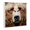 Stupell Industries Grizzly Bear with Glasses, 12" x 12" - 3 of 4