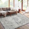 Vintage Rug Grey Premium Fuzzy Low Pile Soft Non Shedding Oriental Accent Carpet Stain Resistant Floor Cover for Living Room Bedroom - 2 of 4