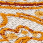 orange/multi