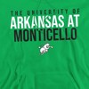 University of Arkansas at Monticello Official Stacked Adult Pull-Over Hoodie - 2 of 4