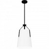 Quoizel Lighting 1 - Light Pendant in  Matte Black - 4 of 4