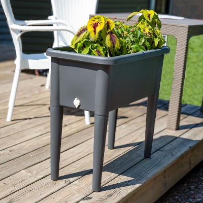 Gray Plastic Self-Watering Raised Garden Bed with Cloche Cover