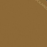 brown / brown polarized