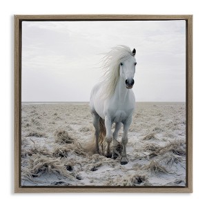 Stupell Industries Windswept Beach Horse Black Floater Framed Canvas Wall Art - 1 of 4