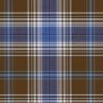 varsity brown plaid