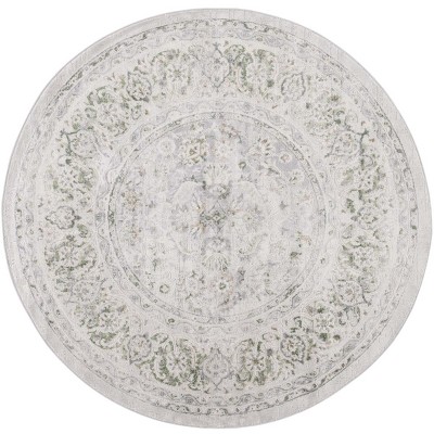Palma PAM326 Power Loomed Indoor Rugs - Safavieh