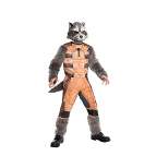 Rubies 2-Piece Orange and Gray "Rocket Raccoon" Child Halloween Costume - S