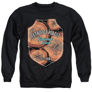 Men's Petrified Forest National Park Illustrated Landscape Crewneck Sweatshirt - 1 of 4