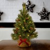 3' Prelit Pencil Slim Pine Artificial Christmas Tree Warm White Lights - National Tree Company - 2 of 4