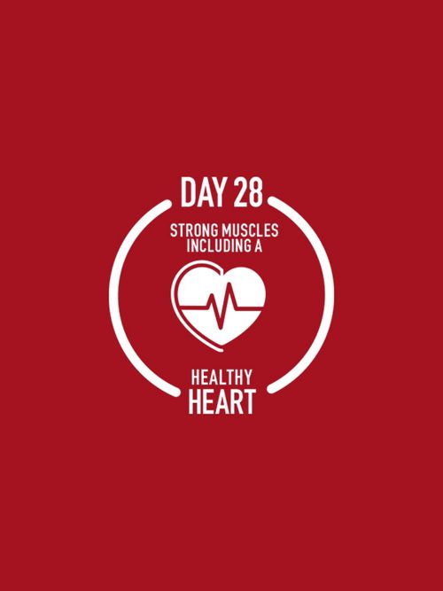DAY 28
STRONG MUSCLES INCLUDING A HEALTHY HEART