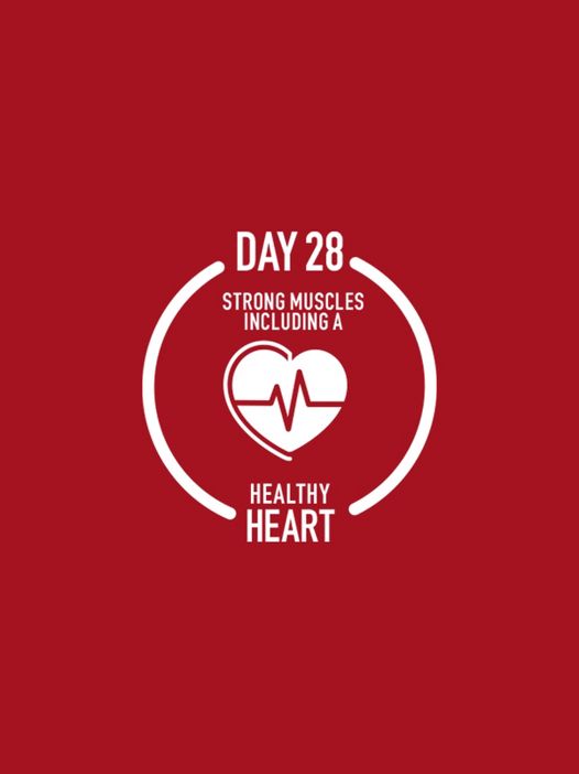 DAY 28
STRONG MUSCLES INCLUDING A HEALTHY HEART