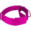 Country Brook Petz 1 1/2 Inch Martingale Heavyduty Nylon Dog Collar - 3 of 4