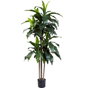 Nearly Natural 5-ft Dracaena Plant UV Resistant (Indoor/Outdoor) - 1 of 4