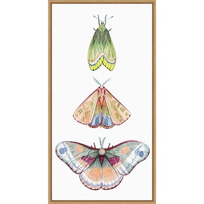 Amanti Art Moth Fairies II by Grace Popp Canvas Wall Art Print Framed 14 x 27-in.