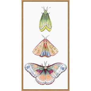 Amanti Art Moth Fairies II by Grace Popp Canvas Wall Art Print Framed 14 x 27-in. - 1 of 4