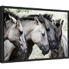 Amanti Art Four Konik Horses by Jaap van den Canvas Wall Art Print Framed 23-in. x 16-in. - 2 of 4