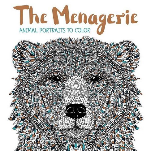 Download The Menagerie Adult Coloring Book Animal Portraits To Color By Claire Scully Paperback Target