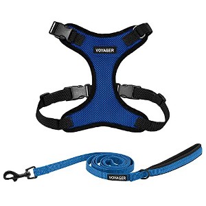 Voyager Step-In Lock Adjustable Dog & Cat Harness and 5ft Leash Combo - 1 of 4