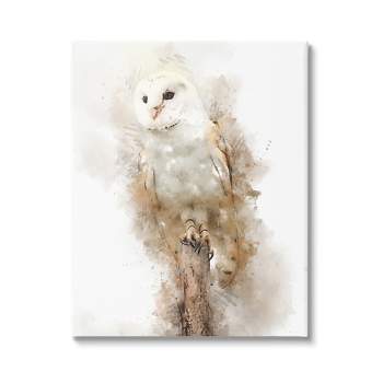 Stupell Industries Perched Barn Owl Wildlife Canvas Wall Art