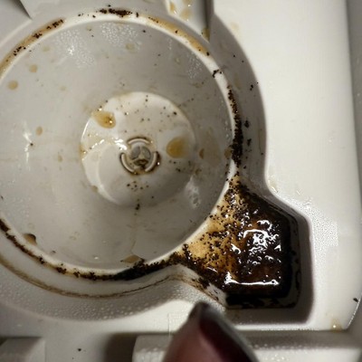 Guest review image 2 of 2, zoom in