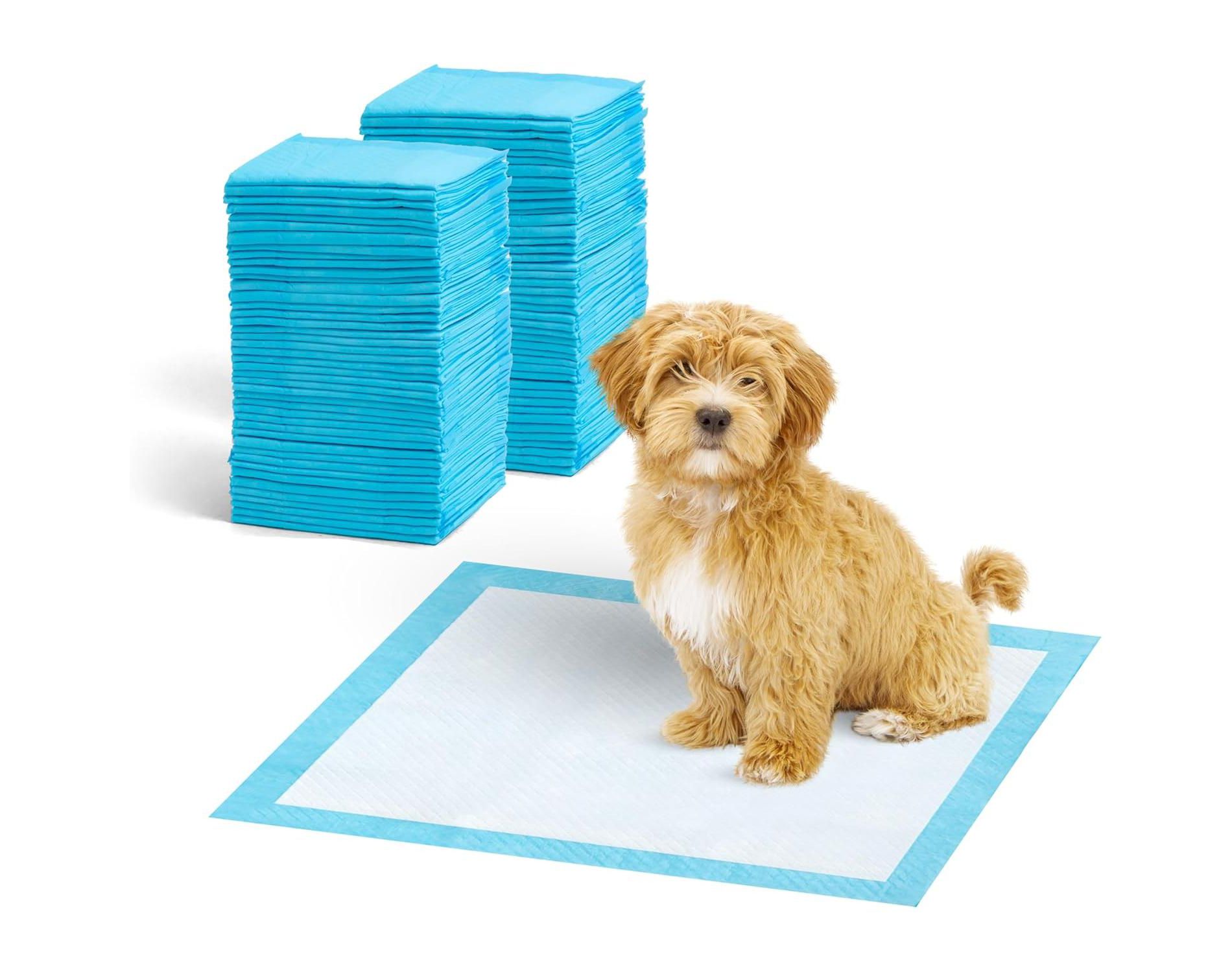 IRIS USA Puppy Pads with Quick-Dry Leak-Proof Design for Potty Training, Regular Size 22x22 Inch, 100 Count