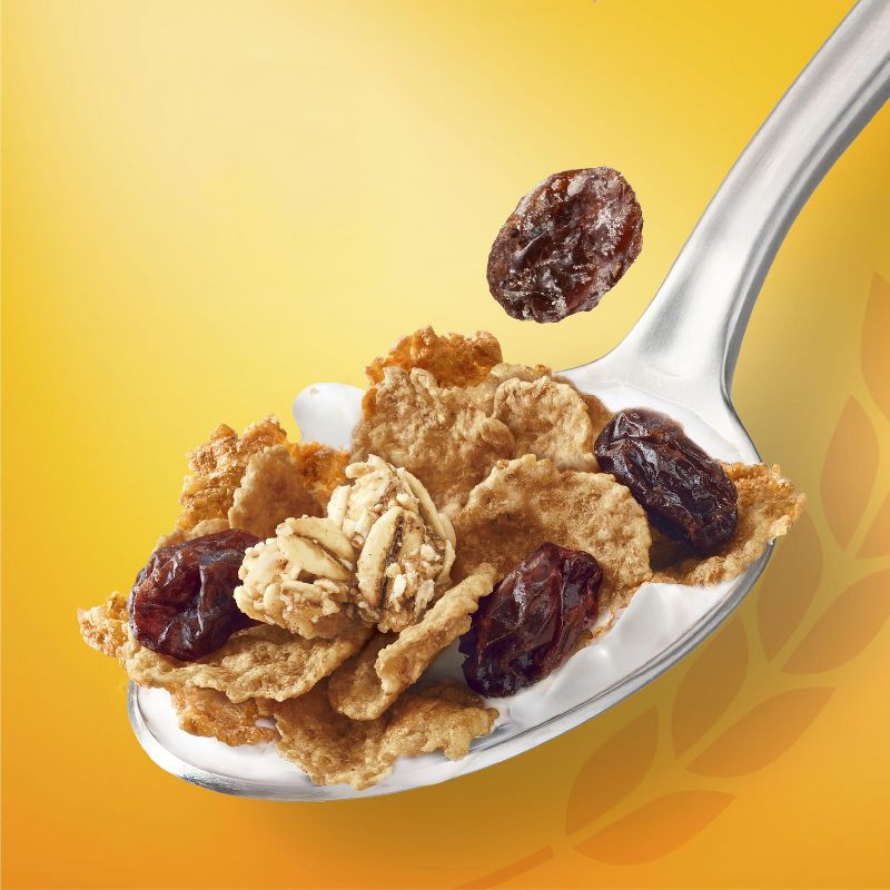 Raisin Bran Crunch Original Breakfast Cereal, 5 of 18