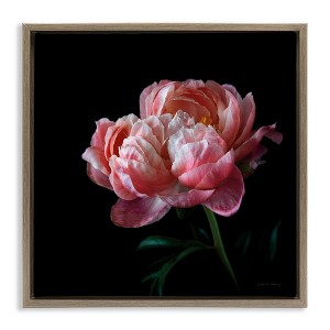 Stupell Industries Dark Rose Photography, 18" x 18" - 1 of 4