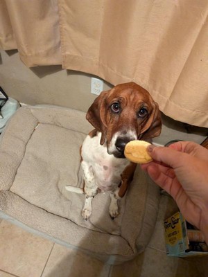 Guest review image 1 of 2, zoom in