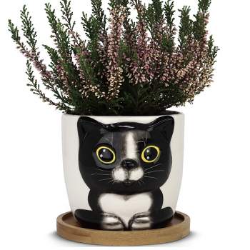 Window Garden Animal Planters - Large Oreo Kitty Pot for Indoor Live Plants, Succulents, Flowers & Herbs