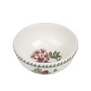 Portmeirion Botanic Garden Birds Individual Fruit Salad Bowl, Set of 6, Made in England - Assorted Bird Motifs,5.5 Inch - 4 of 4