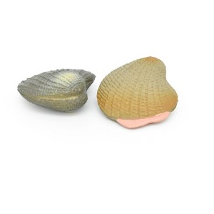 CWG | Clams, Pair of Two, Realistic Plastic Littleneck Clams Model, Toy, Figure     1"     CWG140 BB28 - 1 of 4