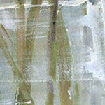luster gray