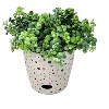 Tierra Garden 7" Round Self-Watering Bamboo Pot - 2 of 4