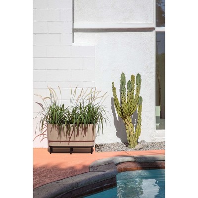 Sandstone and Black 30" Raised Planter with Acacia Wood Stand