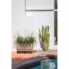 Veradek Demi Series Raised Demi Long Planter with Stand - 3 of 4