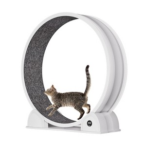 45'' Cat Exercise Wheel for Indoor Cats, One Fast Cat Wheel Quiet Cats Treadmill with Pedometer, Pet Running Wheels for Weight Loss and Health - 1 of 2