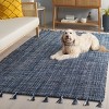 Montauk MTK476 Power Woven Indoor Rug - Safavieh - 3 of 4