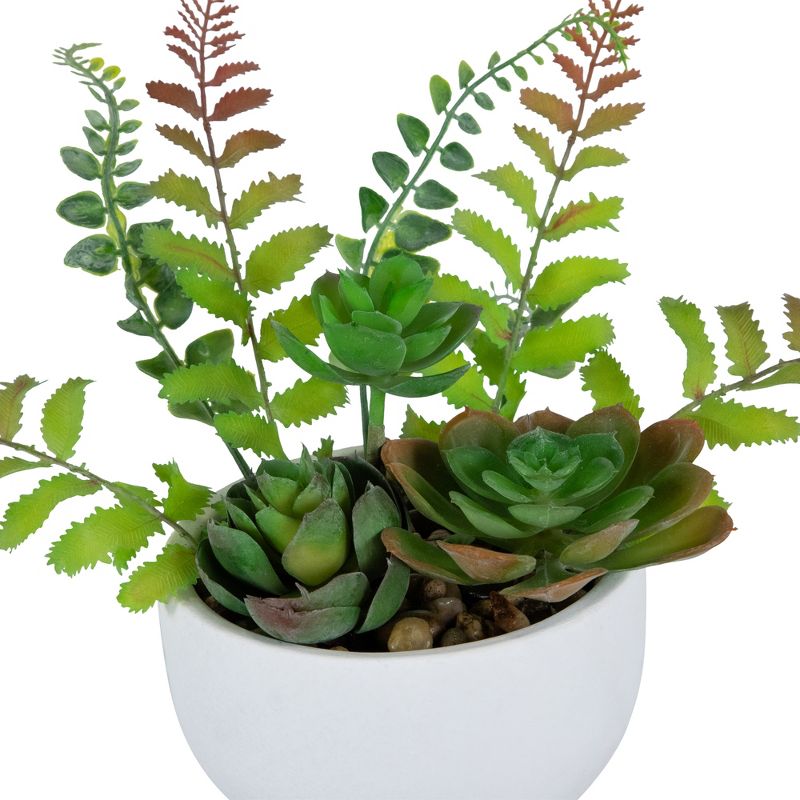 Northlight 11.5" Mixed Succulent and Fern Artificial Potted Plant - Green/White, 4 of 7