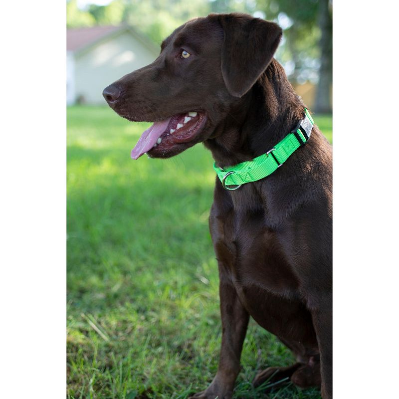 Country Brook Petz Heavy Duty Nylon Martingale Dog Collar with Deluxe Buckle for Adjustable Small Medium Large Breeds - 30+ Vibrant Color Options, 2 of 8