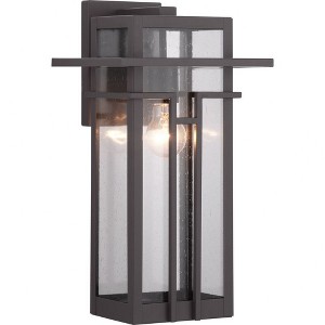 Progress Lighting Boxwood 1-Light Outdoor Wall Lantern, Antique Bronze, Seeded Glass Shade - 1 of 4