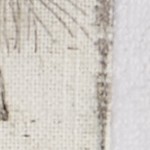 wild and beautiful hand towel