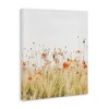 Stupell Industries Poppy Field Photography, 30" x 40" - 3 of 4