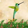 Morawski 4.5 Inch Clip On Hummingbird Delicate Soft Glittered Tree Ornaments - 2 of 4