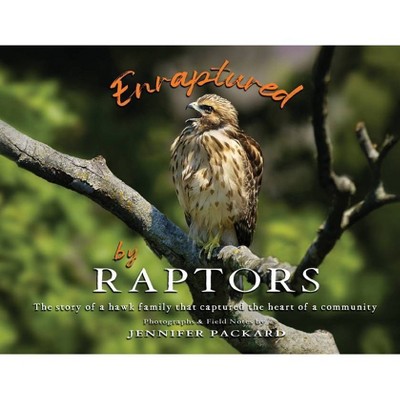 Enraptured by Raptors - (Paperback)