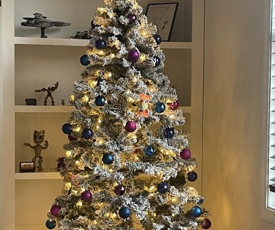 Guest review image 1 of 1, zoom in