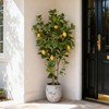 2 Pack Artificial Lemon Tree, 4FT Tall Fake Lemon Silk Plant with Planter, Faux Lemon Plastic Fruit Tree for Christmas Home Decor - 4 of 4