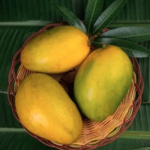 Fresh Imam Pasand Mangoes Pack Of 4 - 1 of 4