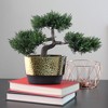 Northlight 10" Unlit Artificial Potted Japanese Bonsai Tree - 4 of 4