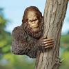 Design Toscano Bigfoot, The Bashful Yeti Tree Sculpture - Multicolored - 2 of 4